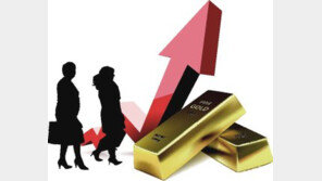 국제 금시장 흔드는 중국 ‘다마 부대’[횡설수설/장원재]