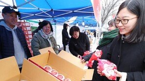 설 차례상에 올릴 예쁜 사과 주세요