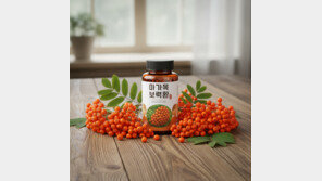 항산화-항염에 탁월한 마가목으로 기관지-관절 건강 지키세요