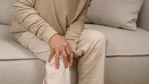 “아침에 무릎 붓고 뻣뻣”…단순노화 아닌 ‘이 질환’ 의심