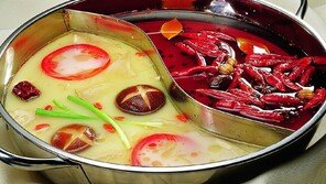 “훠궈집에 인형 아기 의자 달라”…중국 Z세대 ‘인형 엄마’ 논쟁