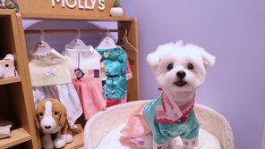 “한복·떡국, 멍쫀쿠까지”… ‘프리미엄 펫 산업’ 커진다