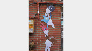 [고양이 눈]“도둑 아닙니다”