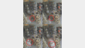 “고가 수영복 몰래 훔쳐간 韓여성” 푸껫 상인, 매장 CCTV 공개 