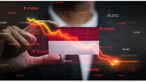 서울 67배 땅 빼앗아 무상급식? 인도네시아가 ‘손절’ 당하는 이유[딥다이브]