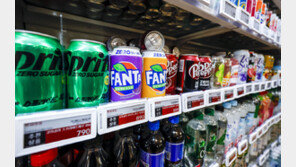 “살 빼려다 뇌졸중 올 판”…제로 단백질 바·아이스크림 속 성분 ‘충격’