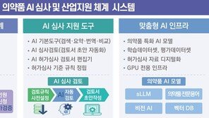 “AI가 의약품 심사한다”…식약처, 시스템개발 본격 시동