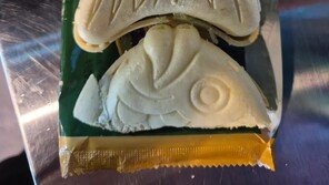 “매운탕용 붕어서더리?”…머리·몸통 분리된 아이스크림 사진에 ‘갑론을박’