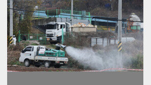 ‘고병원성 AI·ASF’ 방역 비상…중수본, 설연휴 24시간 대응체계 가동