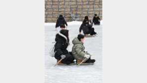 [고양이 눈]한마음 한뜻