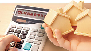 무주택자 ‘갭투자’ 한시 허용… 실거주 의무도 유예