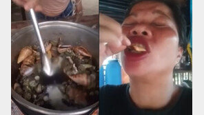 맹독성 ‘악마게’ 먹방 인플루언서 사망 “입술 파랗게 변해”