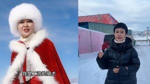 ‘290억 매출’ 스타 공무원, 지역 홍보 촬영 중 말에 떨어져 사망