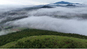 “러닝이 대세” 제주오름트레일런 하루 만에 2천명 마감