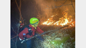 야간 산불 피해 면적 118배 증가 까닭은?…‘고온 건조 유지’ 탓