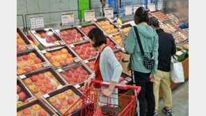 과일포장재·기름 묻은 신문지는 ‘종량제’…양파망은 ‘재활용’