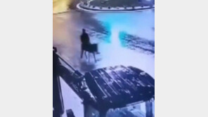 금은방 턴 뒤 당나귀 타고 도주한 튀르키예 절도범…“술에 취한 상태였다”