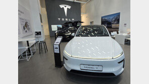 중국산 전기차의 한국 침공 ‘위협적’…완성차 시장 뒤흔들어