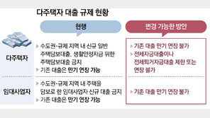 임대사업자-다주택자 대출 연장 ‘원천 봉쇄’ 검토