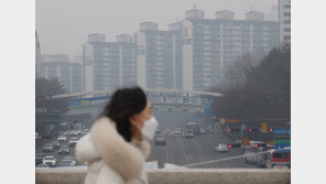 설 연휴 이튿날 흐리고 빗방울…안개·미세먼지 기승