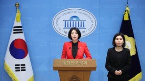 민주, ‘배현진 당원권 정지 1년’에 “野, 탄핵 찬성파 솎아내는 공포정치”