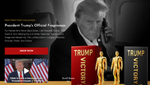 “트럼프, 16세기 왕처럼 굴어…예측불가 행동에 국제법도 무시”