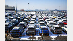 작년 車 수출, 코로나 이후 첫 감소…친환경차는 늘었다