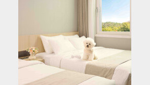 “강아지 맡길 곳이 없어서 여행 못 가요”…설 연휴 발 묶인 반려인들