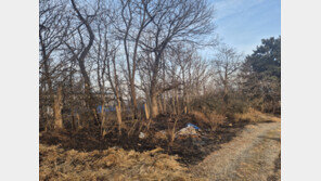 서산 음암면서 산불…임야 2100㎡ 태우고 29분 만에 진화