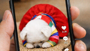 ‘구독자 600만’ 채널이 사라졌다…‘AI 슬롭’에 칼 빼든 빅테크들