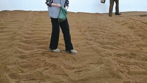 국립현대미술관 서울관 ‘소멸의 시학’ 展