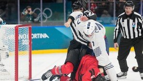 난투극 벌인 프랑스 아이스하키 선수, 출전 정지 징계[2026 동계올림픽]