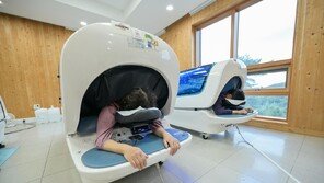 설 연휴 ‘명절 증후군’ 숲에서 날린다… 산림치유 시설 예약 활기