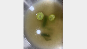 [고양이 눈]놀란 얼굴