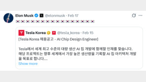 태극기 내건 머스크 “韓 AI칩 인재, 테슬라 오라”