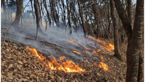 금산 백마산서 진화된 산불 또 재발화…‘담배꽁초 원인’