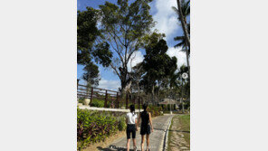 유선, 어깨 나란히 한 12세 딸에 “어느덧 나와 키가 가까워”