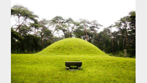 “내 땅에 남의 묘로 대출 막혀” 굴삭기로 파묘한 60대