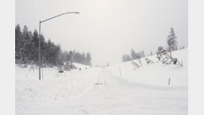 美 캘리포니아에 겨울폭풍…오지 스키 여행 나선 8명 사망·1명 실종