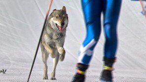 올림픽 경기에 난입한 ‘뜻밖의 선수’…결승선까지 통과 
