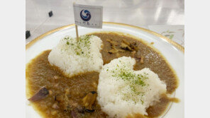 올해도 日시마네현청 식당에 ‘다케시마 카레’ 등장…“어리석은 짓”