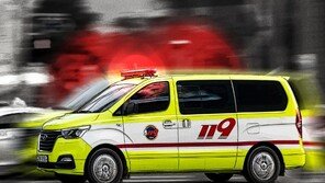 “아기 머리가 보여요”…설날 양수 터진 산모, 119 달려와 집에서 순산