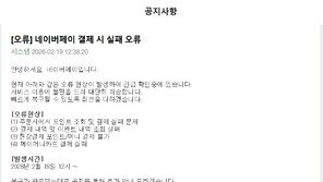 “하필 점심시간에 결제실패” 네이버페이, 12시부터 오류 발생