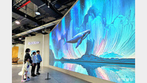 “눈앞에 고래가 나타났어요”