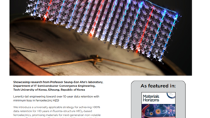 한국공학대 안승언 교수팀, AI 반도체 수명 늘리는 혁신 기술 개발