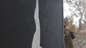 [고양이 눈]다시, 시작