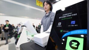 네이버페이 결제 4시간 먹통…“외부 공격은 아니다”