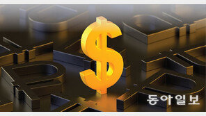 매달 10달러씩 똑같은 로또 구입…22년만에 1등 당첨