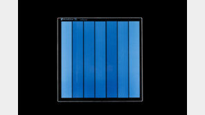 유리 저장, 유리하네… 손가락만 한 유리판에 책 200만 권 정보 새겨