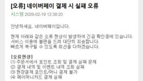 네이버페이, 4시간 결제-예약 오류… 소상공인들 “손해 막심”